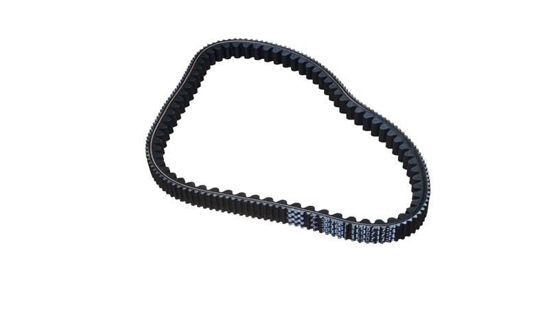 KAYIŞ (3008 81 10 0071734) (VIESTE249)